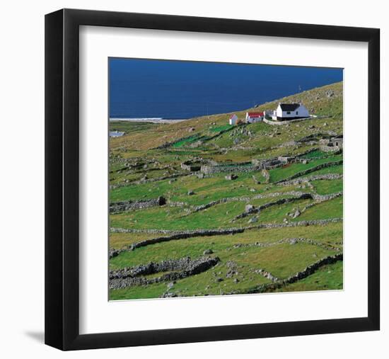 Irish Farm Near The Coast-null-Framed Premium Giclee Print