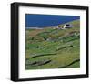 Irish Farm Near The Coast-null-Framed Premium Giclee Print