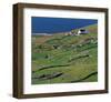 Irish Farm Near The Coast-null-Framed Premium Giclee Print