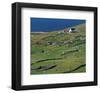 Irish Farm Near The Coast-null-Framed Art Print