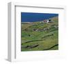 Irish Farm Near The Coast-null-Framed Art Print