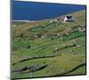 Irish Farm Near The Coast-null-Mounted Art Print