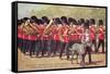 Irish Guards with Mascot-null-Framed Stretched Canvas