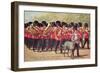 Irish Guards with Mascot-null-Framed Art Print