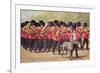 Irish Guards with Mascot-null-Framed Art Print