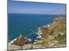 Irish Lady Rock under Mayon Cliff, Near Sennen Cove, Cornwall, England, UK-Neale Clarke-Mounted Photographic Print