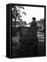 Irish Man on a Cart-null-Framed Stretched Canvas