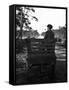 Irish Man on a Cart-null-Framed Stretched Canvas