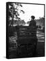 Irish Man on a Cart-null-Framed Stretched Canvas