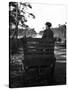 Irish Man on a Cart-null-Stretched Canvas