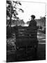 Irish Man on a Cart-null-Mounted Photographic Print