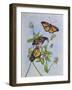 Irish Monarchs-Charlsie Kelly-Framed Giclee Print