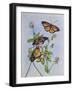 Irish Monarchs-Charlsie Kelly-Framed Giclee Print