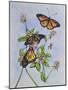 Irish Monarchs-Charlsie Kelly-Mounted Giclee Print
