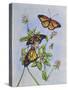 Irish Monarchs-Charlsie Kelly-Stretched Canvas