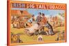 Irish Pig Tail Tobacco-null-Stretched Canvas