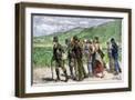Brown Frame