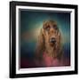 Irish Setter after a Swim-Jai Johnson-Framed Giclee Print