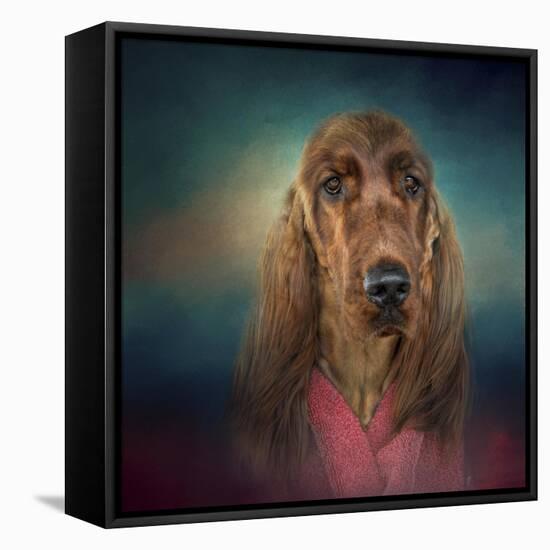 Irish Setter after a Swim-Jai Johnson-Framed Stretched Canvas