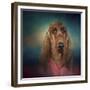 Irish Setter after a Swim-Jai Johnson-Framed Giclee Print