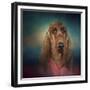 Irish Setter after a Swim-Jai Johnson-Framed Giclee Print