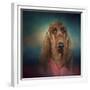 Irish Setter after a Swim-Jai Johnson-Framed Giclee Print