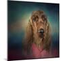 Irish Setter after a Swim-Jai Johnson-Mounted Giclee Print