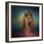 Irish Setter after a Swim-Jai Johnson-Framed Giclee Print