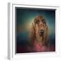 Irish Setter after a Swim-Jai Johnson-Framed Giclee Print