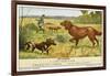 Irish Setter and a Basset Hound in the Hunting Field-null-Framed Art Print