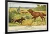 Irish Setter and a Basset Hound in the Hunting Field-null-Framed Art Print