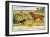 Irish Setter and a Basset Hound in the Hunting Field-null-Framed Art Print