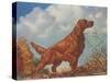 Irish Setter Pointing-null-Stretched Canvas