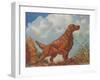 Irish Setter Pointing-null-Framed Art Print