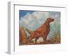 Irish Setter Pointing-null-Framed Art Print