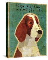 Irish Setter (Red & White)-John Golden-Stretched Canvas