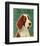 Irish Setter (Red & White)-John W^ Golden-Framed Art Print