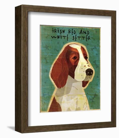 Irish Setter (Red & White)-John W^ Golden-Framed Art Print