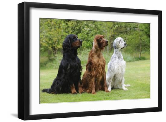 Premium Photographic Print, , large