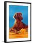 Irish Setter with Flowers-null-Framed Art Print