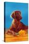 Irish Setter with Flowers-null-Stretched Canvas