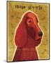 Irish Setter-John Golden-Mounted Giclee Print