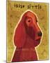 Irish Setter-John Golden-Mounted Giclee Print