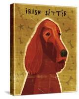 Irish Setter-John Golden-Stretched Canvas