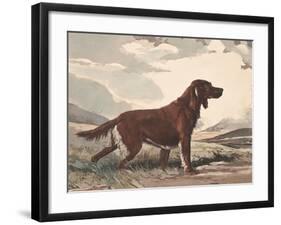 Irish Setter-Reuben Ward Binks-Framed Premium Giclee Print