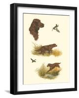 Irish Setter-null-Framed Art Print