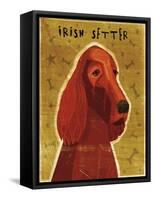 Irish Setter-John W Golden-Framed Stretched Canvas