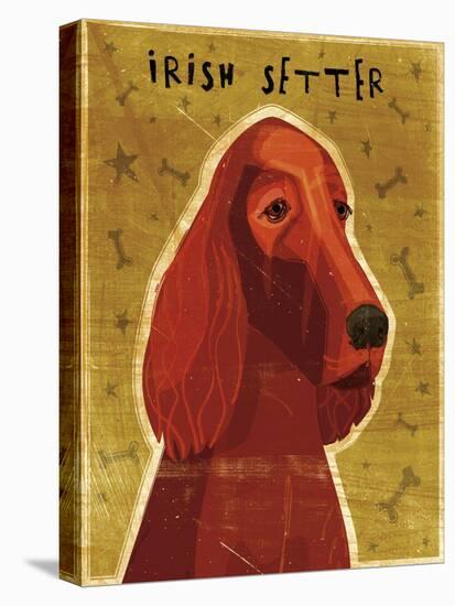 Irish Setter-John W Golden-Stretched Canvas