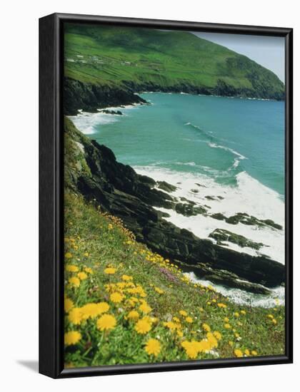 Irish Summer Colours, Dingle Peninsula, County Kerry, Munster, Republic of Ireland (Eire)-D H Webster-Framed Photographic Print