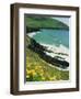 Irish Summer Colours, Dingle Peninsula, County Kerry, Munster, Republic of Ireland (Eire)-D H Webster-Framed Photographic Print